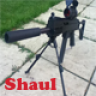 Shaul