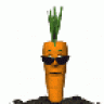 ANDY CARROT