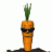 dj carrot