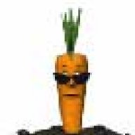 Marty Carrot