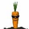 Marty Carrot